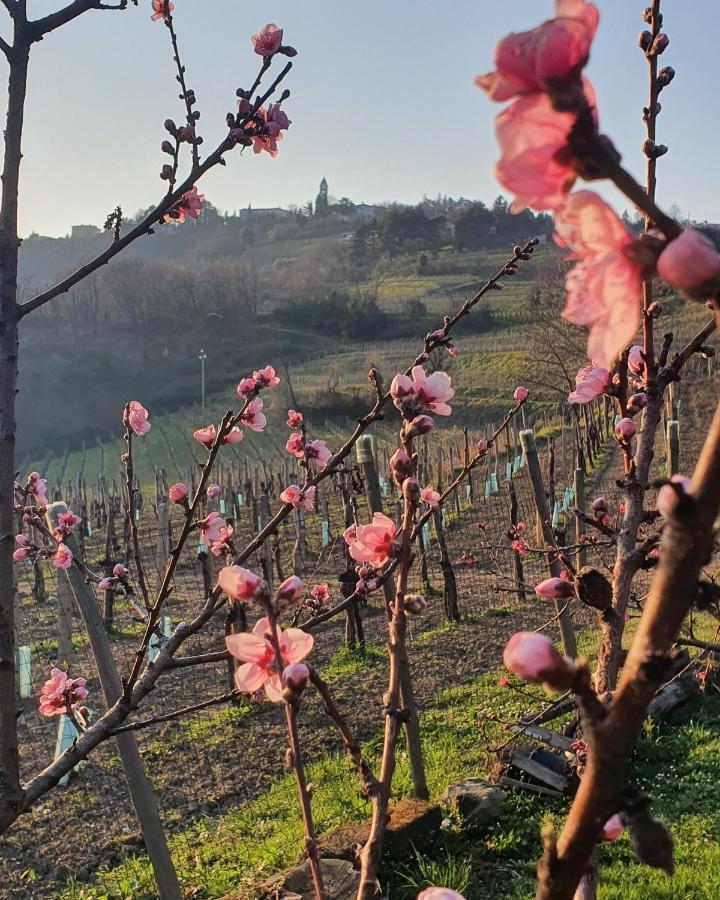 Casaroman San Floriano del Collio Luaran gambar