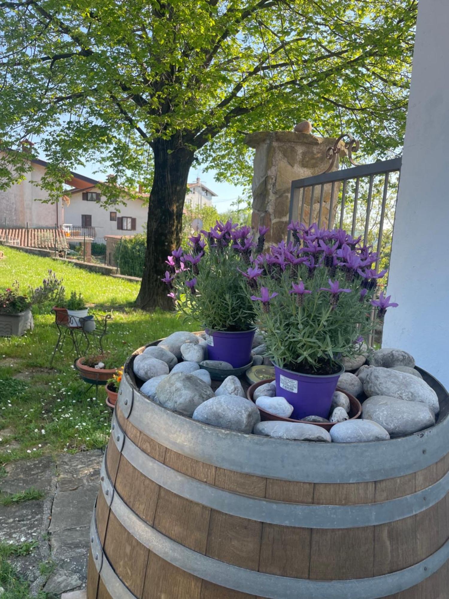 Casaroman San Floriano del Collio Luaran gambar